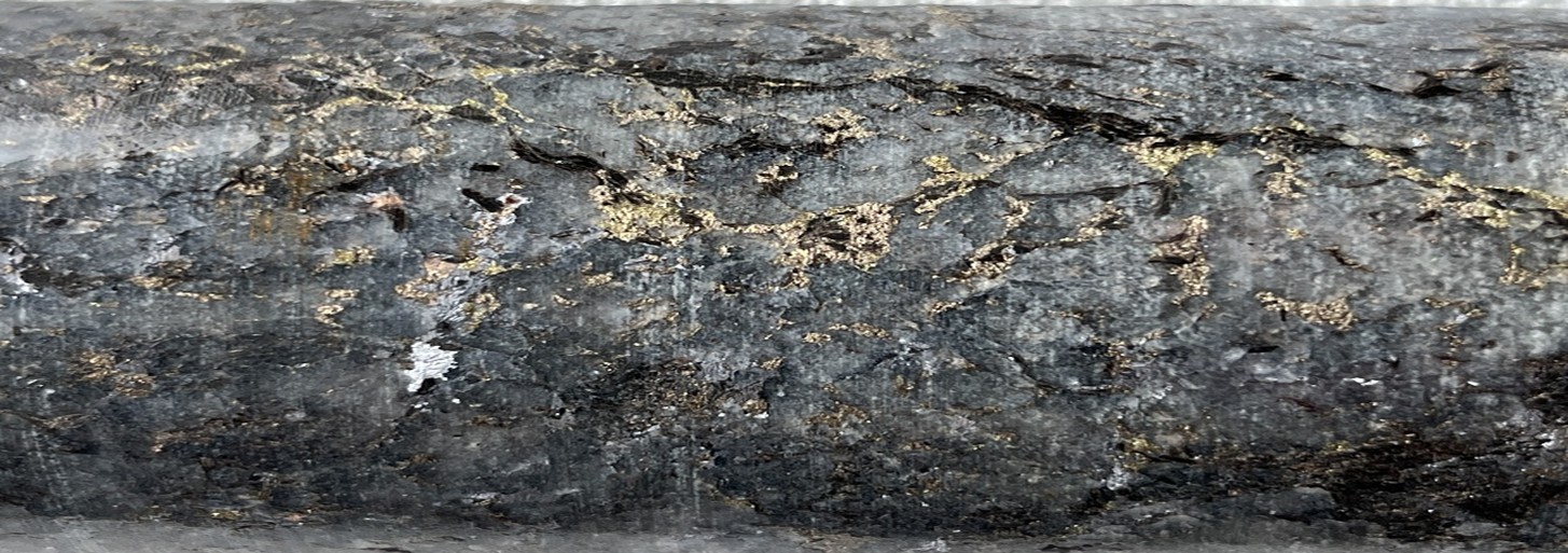 Figure 1. Mineralization in Diamond Drill Hole PIPY25-08 